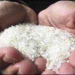 Foto arsip. Beras. (ANTARA/Vicki Febrianto)-1672649398