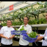 Heru Budi Hartono-1674816062