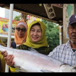 ikan bandeng-1674206670