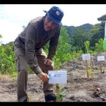 Ilustrasi, Dirut PT Timah Tbk Achmad Ardianto saat melakukan penanaman pohon durian di lahan bekas penambangan timah di Bangka Barat. (Aprionis)-1673493999