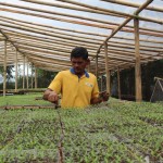 Ilustrasi- Seorang petani tengah menanam bibit cabai di pusat pembibitan mandiri milik petani di Kabupaten Lampung Timur. ANTARA/Ruth Intan Sozometa Kanafi.-1673252505