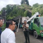 Kadek Agus Arya-1672740567