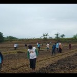 Kalangan petani di Kabupaten Mukomuko sedang menanam jagung, Sabtu (17/12/2022) ANTARA/Ferri.-1674458679