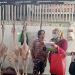 Kasus flu burung naik ke rekor tertinggi di Jepang-1672737229