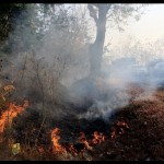 Kebakaran lahan-1672813790