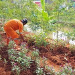 kolong Tol Becakayu-1672832134