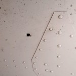 Kondisi pesawat cargo Trigana Air usai ditembak Kelompok Kriminal Bersenjata (KKB) di Papua, pada Senin (9/1/2023). (Kemenhub)-1673426756