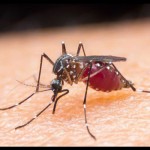 Lapathlabs-1673070082