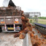 Malaysia bisa setop ekspor minyak sawit ke UE setelah pembatasan baru-1673581351