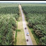 Menanti perekonomian yang lebih cerah pada tahun 2023-1672714071