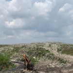 palembang-1673006703