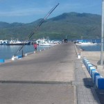 Pangkalan Pendaratan Ikan (PPI) Amagarapati di Kabupaten Flores Timur, Pulau Flores, NTT. (ANTARA/HO-DKP Provinsi NTT)-1673842762