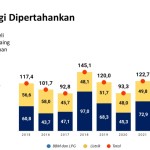 Pemerintah pertahankan subsidi energi untuk jaga daya beli masyarakat-1675150706