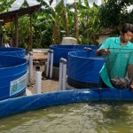 Pemkot Madiun minta warga lakukan budidaya ikan air tawar penuhi pasar-1673427243