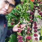 Pendiri JBI menunjukan kopi arabika hasil panen petani di OKU Selatan, Senin. (ANTARA/Edo Purmana/23)-1674463438