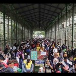 Pengelola: Pengunjung Taman Margasatwa Ragunan capai ribuan saat Imlek-1674535185