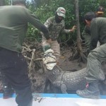 Petugas BKSDA-1672636465