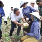 Pj Gubernur Banten dukung petani bawang tingkatkan produktivitas-1673508950