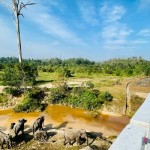 Presiden Joko Widodo-1672895735