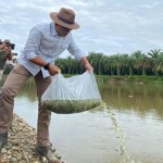 Proses penaburan benih ikan di salah satu sungai di Riau. (ANTARA/dok)-1673422137