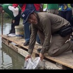 PT Timah tebar 20.000 anakan cumi di laut Babel-1674203649