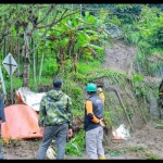 Reza Fahlevi-1674478363