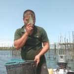 Salah satu nelayan Belakangpadang sedang mencium ikan dingkis hasil tangkapan dari kelong miliknya. (ANTARA/Yude)-1674367459