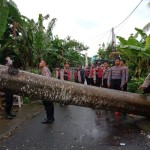 Seorang ibu tewas tertimpa pohon akibat cuaca esktrem di Lombok Barat-1672991414