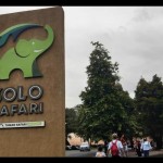 Solo Safari yang mulai dibuka hari ini di Solo, Jumat (27/1/2023). ANTARA/Aris Wasita-1674808478