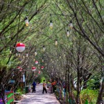 Taman Hutan Raya (Tahura) Pakal, Kota Surabaya (ANTARA/HO-Diskominfo Surabaya)-1675053588