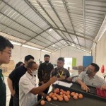 Tim Pengmas FTUI ketika memperkenalkan alat sortir telur otomatis.(ANTARA/Foto: Humas UI)-1673409552