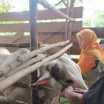 Tim Satgas-1673350534