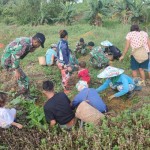 TNI perbatasan bantu warga berkebun sayur untuk ketahanan pangan-1673236394