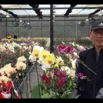 Untidar kembangkan kebun anggrek di Kledung Temanggung-1674036387