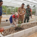 Warga Muara Rapak belajar menanam anggur. (ANTARA/HO-Pertamina)-1673403437