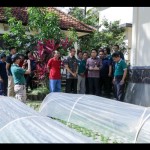 Wayan Adi Arnawa-1673350089