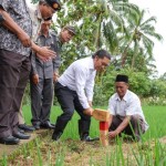 Al Muktabar-1675433262