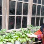 Bandarlampung ajak warga lakukan "urban farming" jaga ketahanan pangan-1675410089