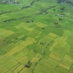 Bulog NTB inginkan ada penyesuaian harga pembelian gabah petani-1675924854