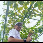 Hasudungan A. Sidabalok-1675240778