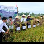Ilustrasi,Upacara Murok Jerami di Desa Namang Kabupaten Bangka Tengah. (Antara)-1675572592