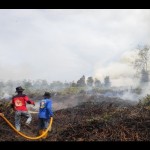Kalimantan Tengah siaga mengantisipasi kebakaran hutan dan lahan-1676185044
