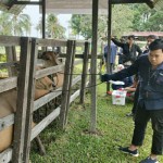 Kalimantan Timur-1675428971