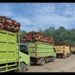 Kemenkeu: Penerimaan pajak pada 2022 di Bengkulu capai Rp2,5 triliun-1675235186