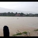 lahan persawahan-1675229799