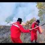 Manggala Agni Sultra ingatkan masyarakat waspadai Karhutla 2023-1675841563