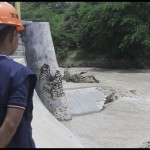 Pemkab Kupang khawatir jebolnya Bendungan Oesao berdampak kekeringan-1675655311