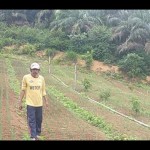 Pemkab Mukomuko dukung petani gunakan pestisida nabati-1675409611