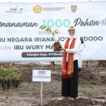 Penanaman bibit durian-1675243772