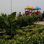 Salah satu taman di Kota Surabaya (ANTARA/HO-Diskominfo Surabaya)-1675388920